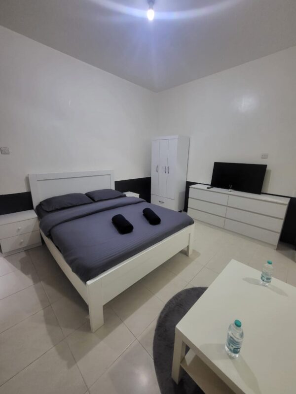 Fully Furnished Studio Apartment - Image 5