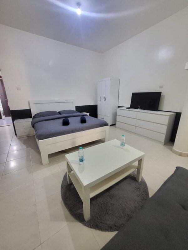 Fully Furnished Studio Apartment - Image 6