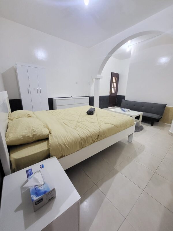Fully Furnished Studio Apartment - Image 7